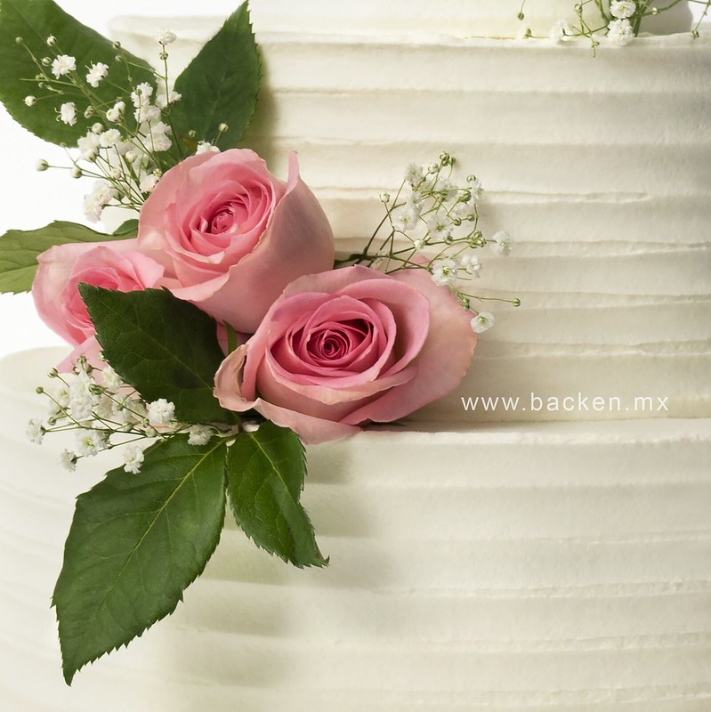 pastel de bodas guadalajara 3 Pasteles para Bodas en Guadalajara