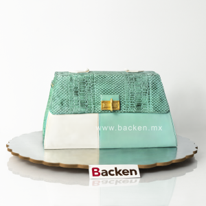 Pastel de Bolsa para mujer